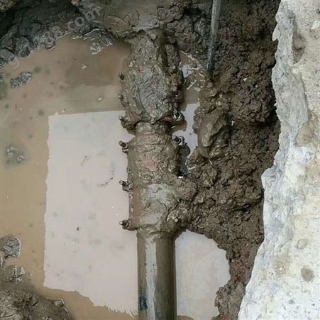 杭州专业检测水管漏水 管道漏水检测 消防漏水检测