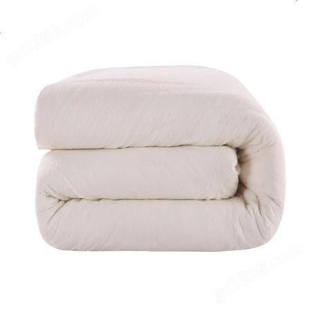 一级棉花被学生冬被春秋棉被芯纯棉垫被絮全棉包边被子 厚保暖